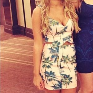 Save skirt palm tree set